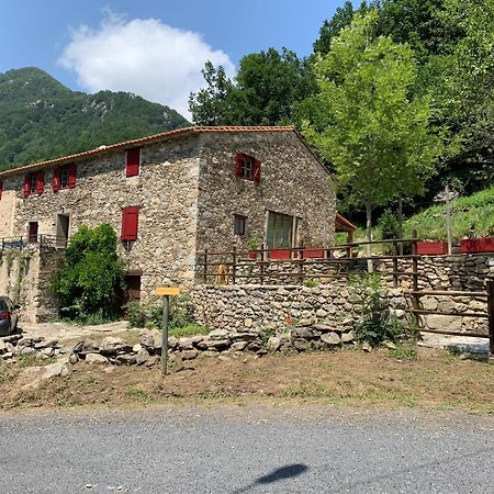 Apartamento Mas Graffouil Prats-de-Mollo-la-Preste Exterior foto