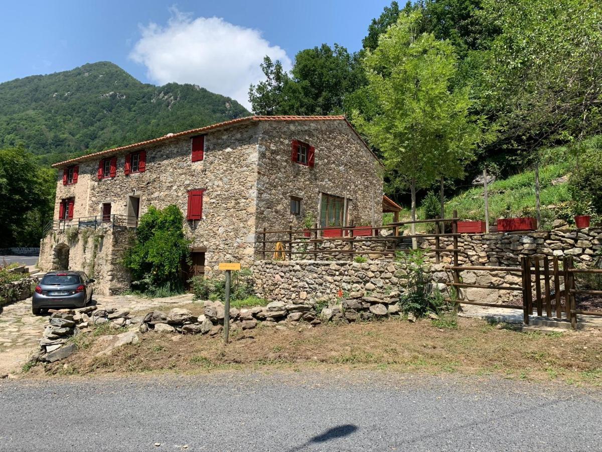 Apartamento Mas Graffouil Prats-de-Mollo-la-Preste Exterior foto