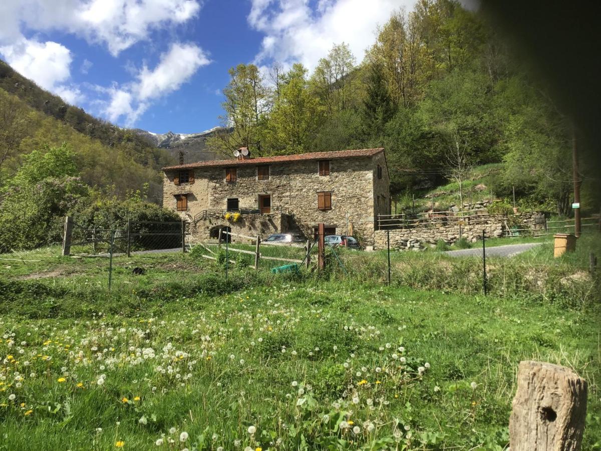 Apartamento Mas Graffouil Prats-de-Mollo-la-Preste Exterior foto