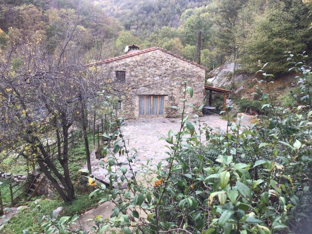 Apartamento Mas Graffouil Prats-de-Mollo-la-Preste Exterior foto